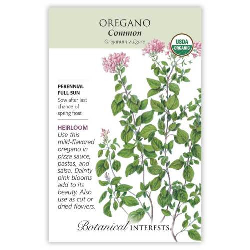 Common Oregano Seeds Organic Heirloom