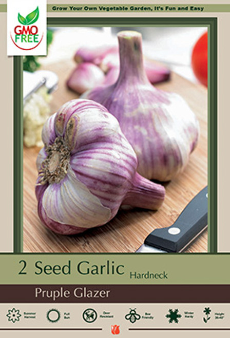 Allium 'Purple Glazer Seed Garlic' Bulb - 2 pack