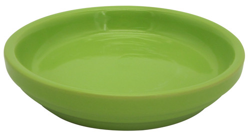 Electric Saucer Green Apple - 6.5 inch