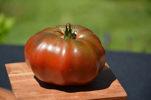 Black Krim Heirloom Tomato