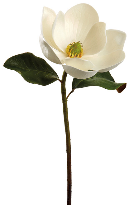Faux Magnolia Stem White - 24 inch