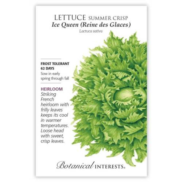 Ice Queen (Reine des Glaces) Summer Crisp Lettuce Seeds Heirloom