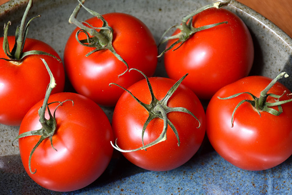 Patio Tomato