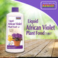 African Violet Food 7-10-7 Concentrate - 8 oz
