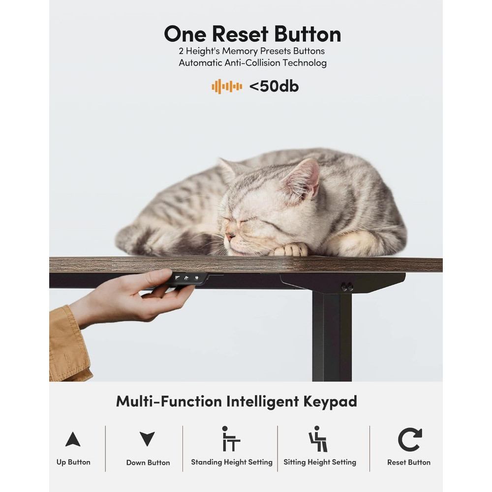 Cat sleeping on desk edge with features text icons