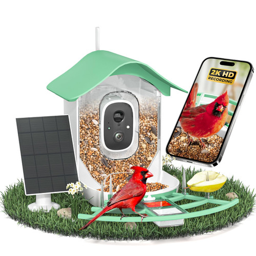 DOCOON Smart Bird Feeder with Camera, 2K HD AI Identify Birds Species, Bir d Watching Camera with Solar Panel, Instant Notifications, Ideal Present for Bir d Lover, Grass Green