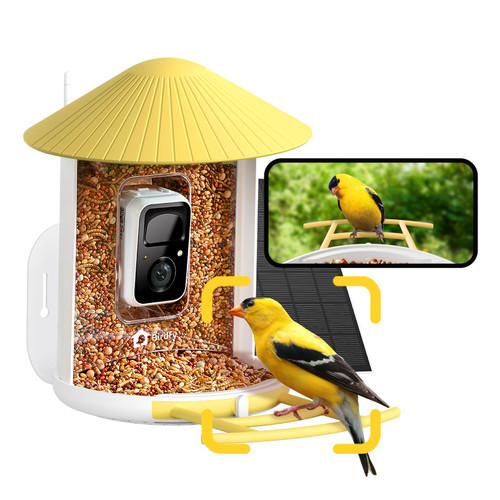 NETVUE by Birdfy Smart Bird Feeder with Camera – AI Identifies Birds Species 2MP Night Vision & App Alerts, 2.4Ghz Wi-Fi Connect IP65 Weatherproof Bird Camera-Gift for Backyard BirdWatchers, Yellow