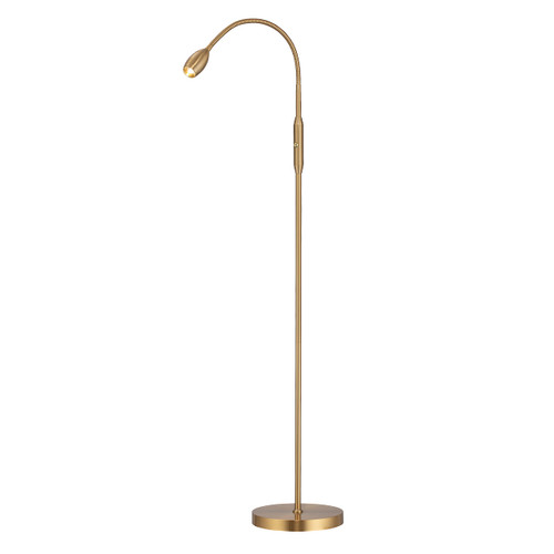 O’Bright Ray – Adjustable LED Beam Floor Lamp, Dimmable and Zoomable Spotlight, Flexible Gooseneck