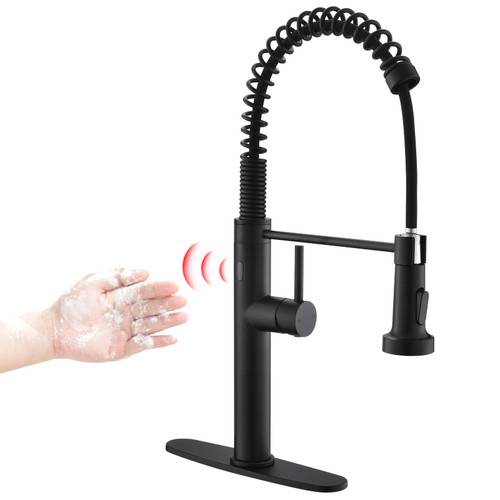 Faucet with Pull Down Sprayer,Touchless Motion Sensor Single
