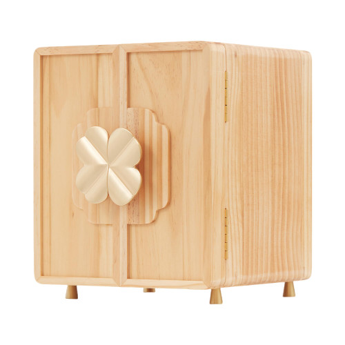 5 Layers Jewelry Organizer for Earring, Ring, Necklace, Bracelets