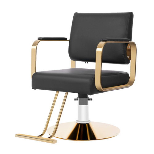 Salon Chair, Adjustable Beauty Spa Hair Styling Salon Chair 360°