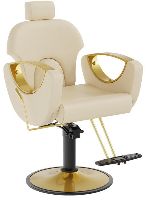 Barber Chair, Salon Chair for Hair Stylist, Height Adjustable Hydraulic Hair