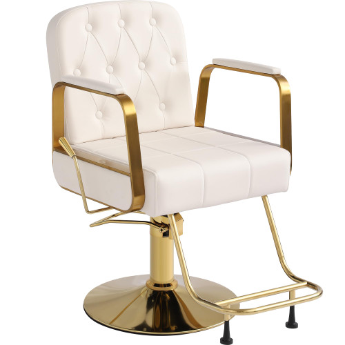 Salon Hair Chair, Height Adjustable Barber Chair