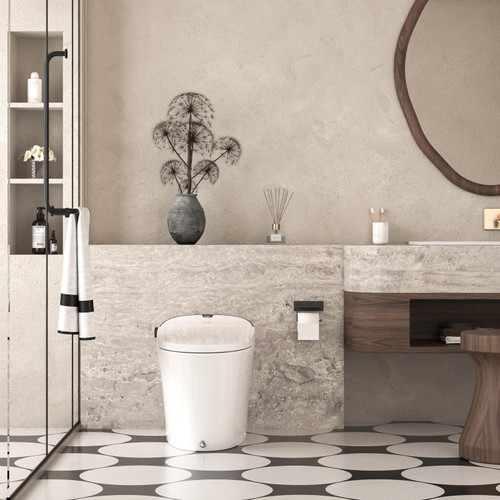 Toilet with Bidet Built in, Luxury Bidet Toilet with Tank, Foam Dispenser
