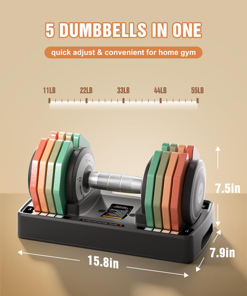 EOAT Adjustable Dumbbells Single, 55LB 5 in 1 Free Adjustable Dumbbell Set with Anti-Slip Handle & Rainbow-colored Weight Plates for Home Gym, Weight Set for Women Men (55LBS Single)