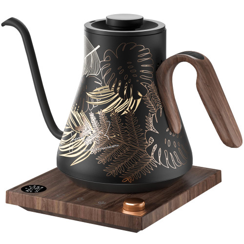 Electric Kettle, Gooseneck Electric Kettle, ±1℉ Precise Temperature Control, Stainless Steel