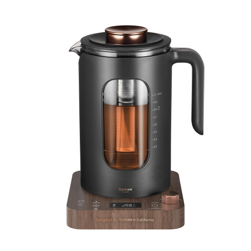 INTASTING Glass Electric Kettle with tea Infuser and Precise knob temperature control