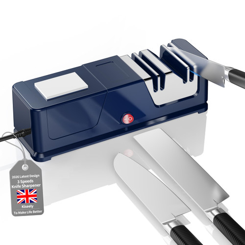 Electric knife sharpener