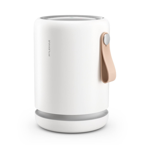 Molekule Air Purifier Mini+ - Purifies Rooms Up to 250 Sq Ft - Smart Purifier with High Pollutant Capture Rate