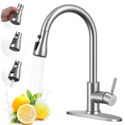 Arofa Kitchen Faucet with Pull Down Sprayer