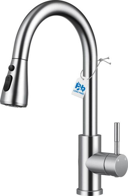 Kitchen Faucet with Pull Down Sprayer