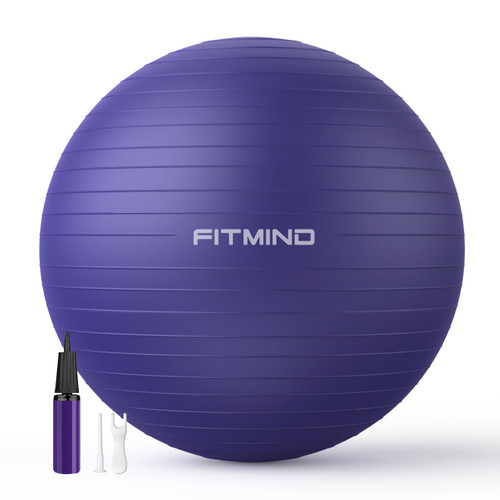 FITMIND_ Extra Thick Exercise Ball Yoga Ball 22in/26in/30in for Workout Pregnancy Stability,Anti-Burst and Slip Resistant Swiss Ball with Pump for Yoga, Pilates, Fitness,Birthing,Physical Therapy