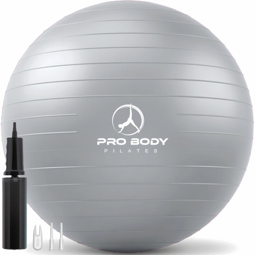ProBody Pilates Exercise Ball - Multiple Sizes Gym Grade Balance Ball for Fitness, Workout, Pregnancy & Physical Therapy, Stability Yoga Ball Chair (Silver, 65 cm)