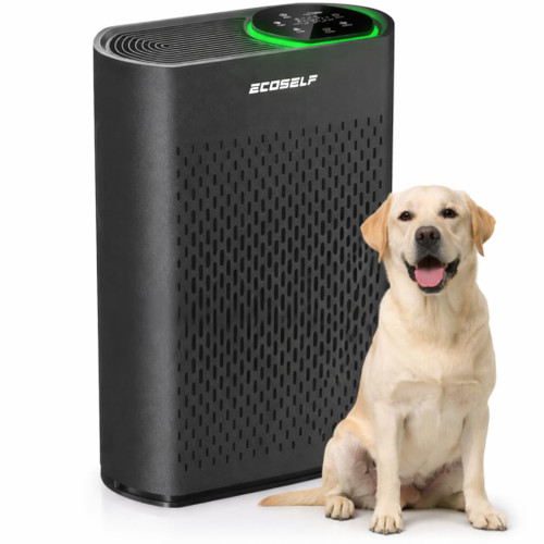 Air Purifier, Large Touch Display Control, Real-Time Air Quality 30 Mins Air Purifiers for Home
