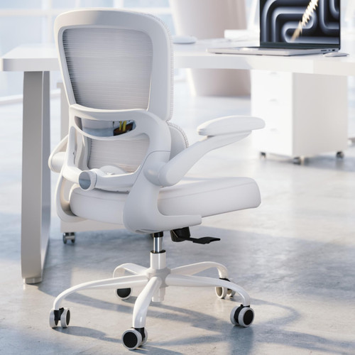 Mesh Computer Chair, Executive Chair for Home Office Comfortable Lumbar