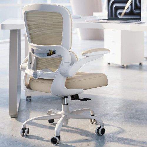 Ergonomic Desk Chair - Gaming Chair with Lumbar Support