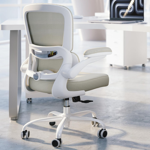 Chair Desk Chair with Adjustable Lumbar Support