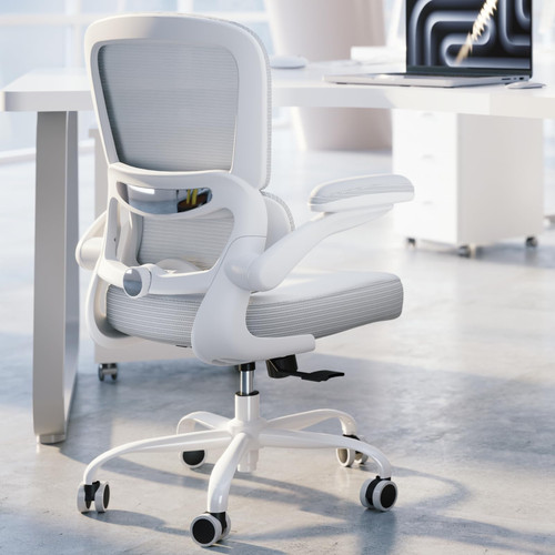 Office Chair Desk Chair with Adjustable Lumbar Support