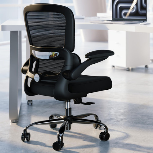 Lumbar Support, Mesh Computer Chair, Executive Chairs for Home