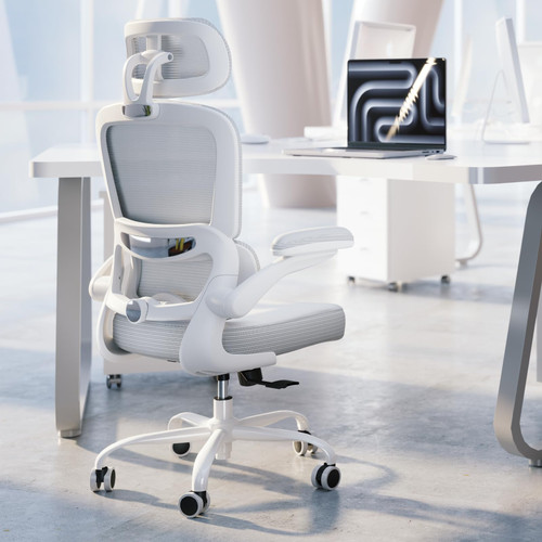 Office Chair Desk Chair with Adjustable Lumbar Support
