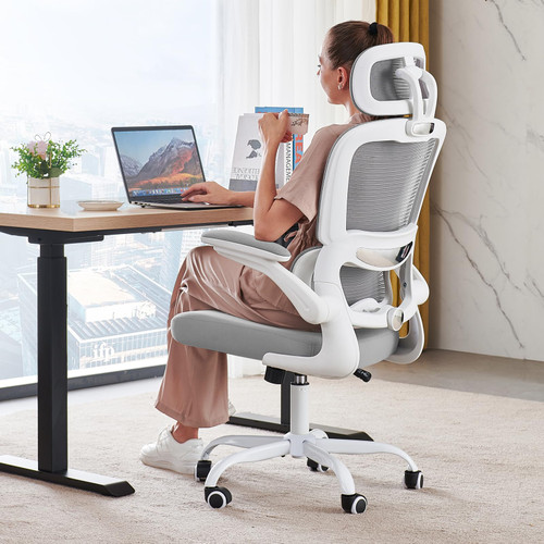 Ergonomic Desk Chair - Gaming Chair with Lumbar Support