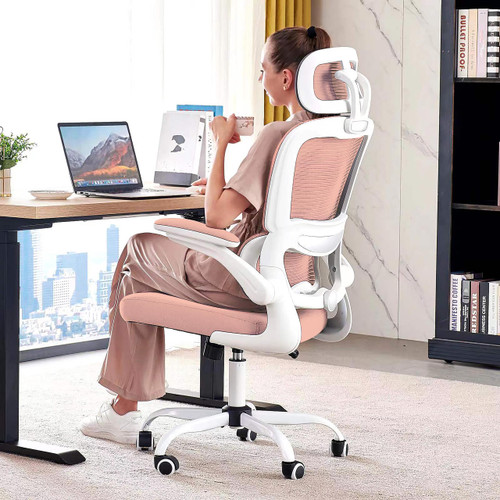 Ergonomic Desk Chair - Gaming Chair with Lumbar Support