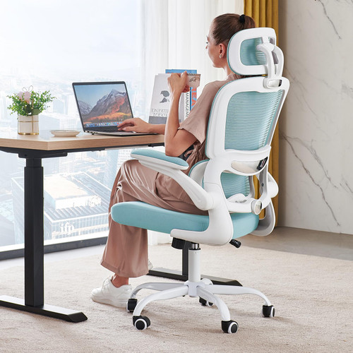 Ergonomic Desk Chair - Gaming Chair with Lumbar Support