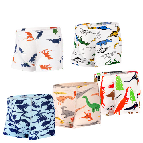 Dinosaur Underwear, Soft Breathable Cotton 5 Pack for Little Boys 2-8 Years