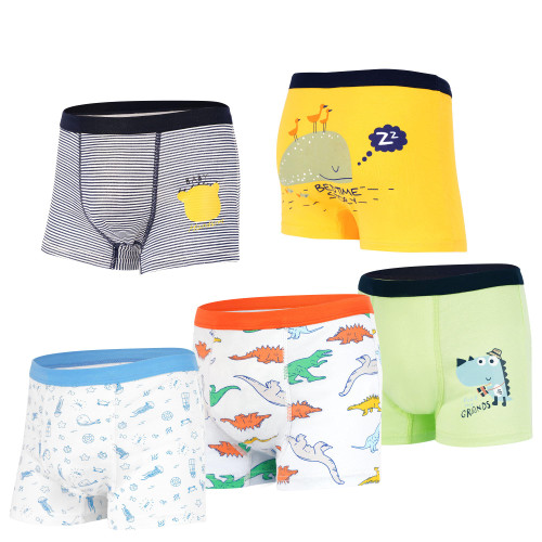 Boys Boxer Briefs Toddler, Dinosaur Underwear