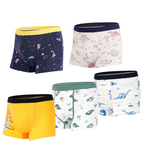 Dinosaur Underwear, Soft Breathable Cotton 5 Pack for Little Boys
