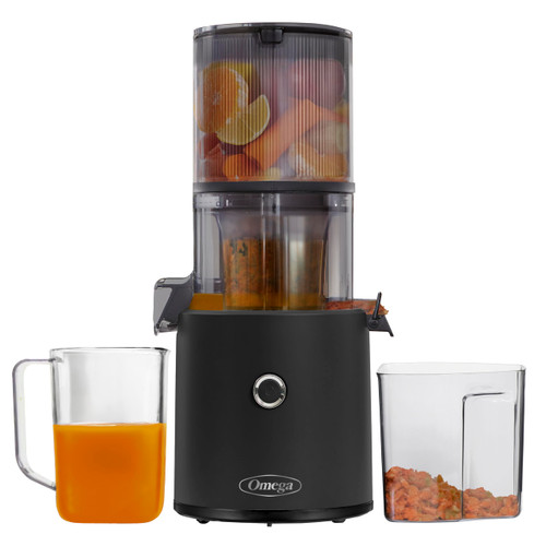 Hands Free Vegetable and Fruit Masticating Juicer