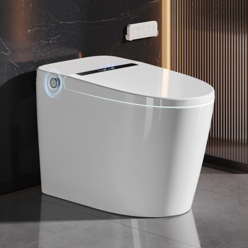 Bidet Built in Bubble Wash, Auto Open/Close Lid Water Filter