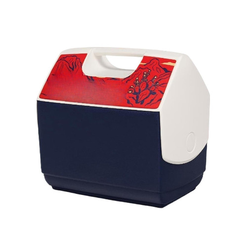 16 Quart Texas Edition Hard Sided Ice Chest Cooler, 30 Can Capacity Portable Insulated Box with One-Hand Push Button Dual Swing Lid & Top Handle for Camping, Picnic, Sports and Outdoor Trips