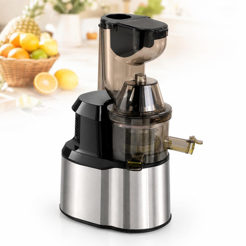 Juicer Machines, Stainless Steel Slow Masticating Juicer