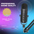 Zealsound Podcast Condenser Microphone with Boom Arm Stand,USB Gaming Mic for PC Karaoke Streaming Recording Voice Overs Youtube