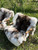 INS popular Artificial  Reindeer Skin Fur Rug , home decorative soft touch sofa blanket , hair warm chair mat