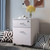 2-Drawer Filing Cabinet Office Drawers W/Keys Compact Slim Portable File Cabinet Pre-Built Office Storage Cabinet for 