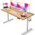 Electric Standing Desk, 63 X 24 Inches Height Adjustable, Ergonomic Home Office Furniture with Splice Board