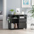 Office File Cabinet on Wheels, Mobile Storage Cabinets, Printer Stand, Home Office Storage Cabinet with 2 Drawers 