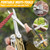 BIBURY Multitool Pliers, 31-in-1 Stainless Steel Multi Tool with Replaceable Wire Cutters and Saw, Foldable Heavy-duty Multitool Set